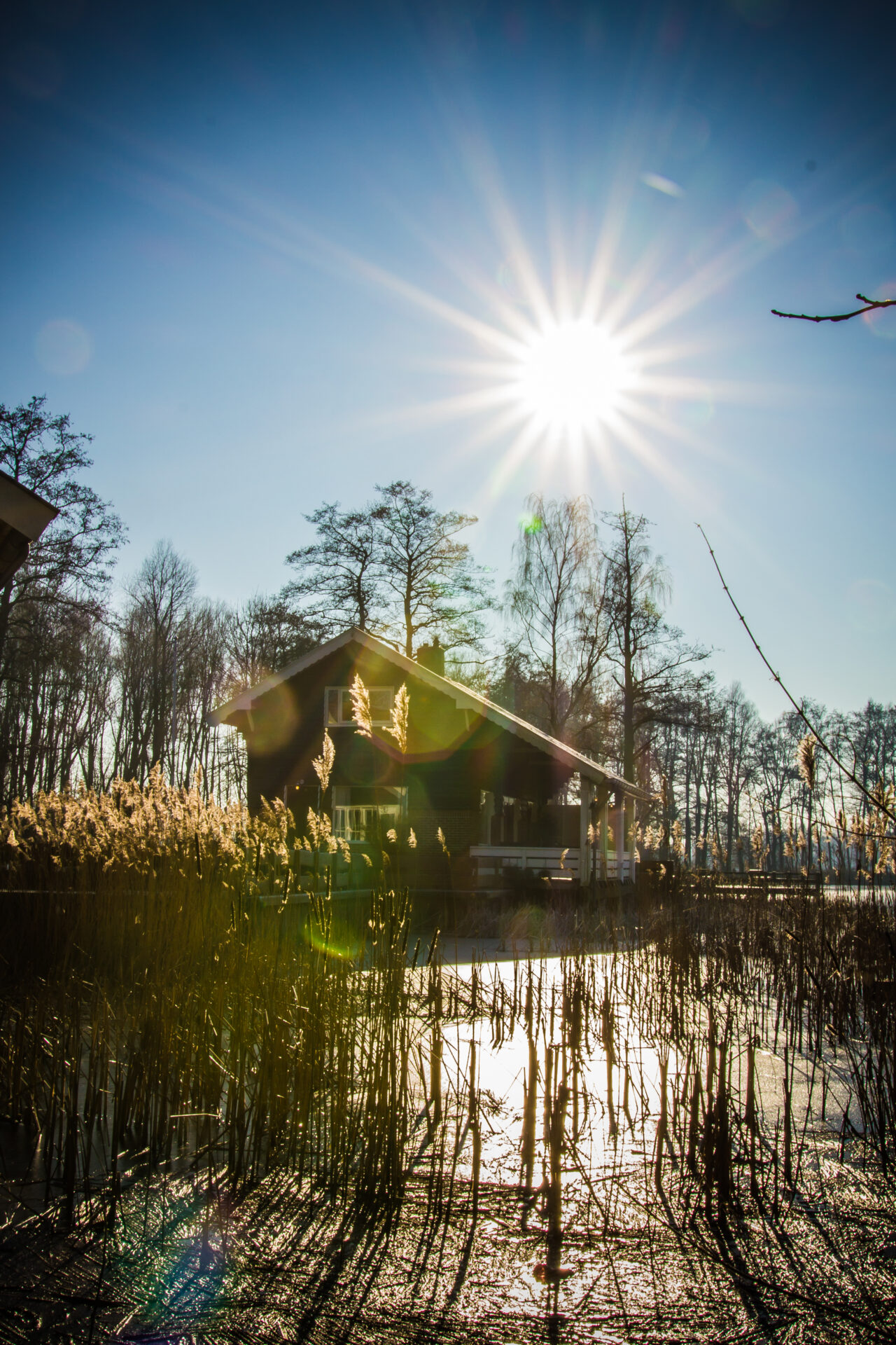 Foto van Paviljoen Sassenhein